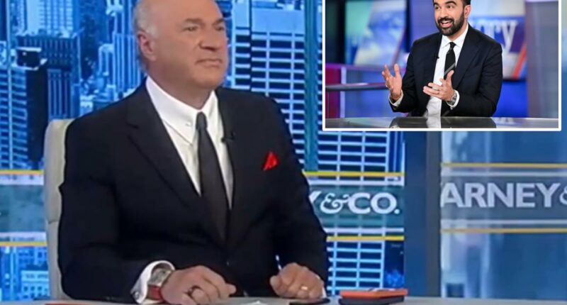 Kevin OâLeary calls Mayor Mamdaniâs NYC tax plan âstupidâ as wealth flees the city